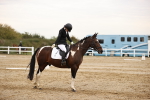SBM_002637