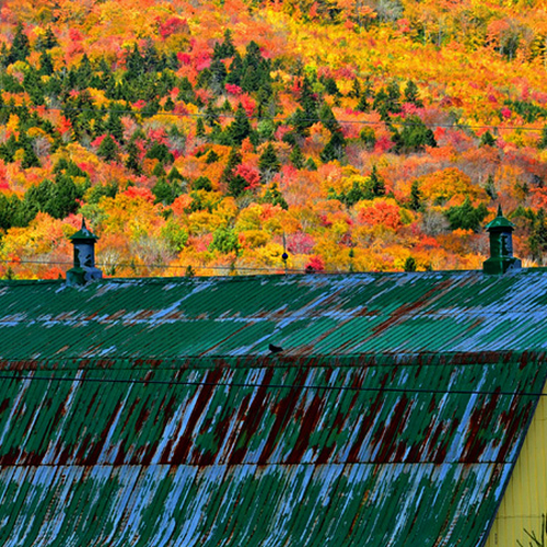 A colorful barn roof in rural Kings County NB Canada shows interesting contrast with a plethora of fall colour.