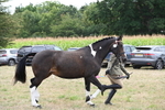 WJ6_6241