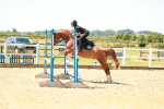 SBM_005811