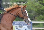 BPP_2946