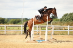 SBM_010334