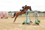 SBM_018994