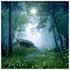 AS007 The Cottage in the Wood