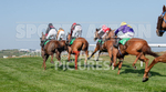 Guernsey Race Club Horse Racing 2018-4