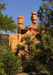 Red Canyon; Utah portfolio