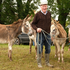 12, Smiling Man with Donkeys, Spancil Hill Horse fair, Co.Clare