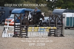 BPP_0288