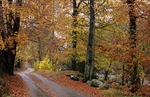 Brathay
