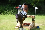 Rider 410 to 419 portfolio