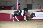 SBM_02860