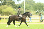 SBM_72164