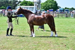 SBM_03874