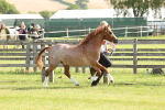 SBM_00642