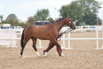 SBM_07846