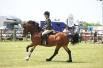 SBM_06940