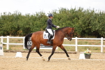SBM_006666