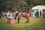 DSCF7435