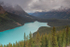 Peyto Lake3