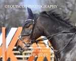 BPP_5245