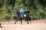 WJ6_8489
