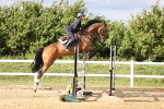 SBM_003835