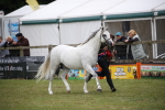 SBM_09799