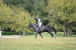 WJ6_2367