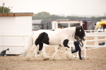 Class 707 - Ridden Groom-Helpers Class portfolio