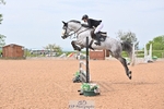 Cls 26a Snr Foxhunter portfolio