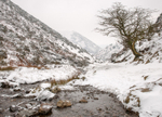 Bodbury Hill from Mott's Road, Carding Mill Valley