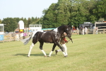 SBM_10559