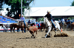 3HRodeo8-11-25_PRCASteer_01635_