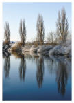 12 Poplar Reflections, River Ouse, York