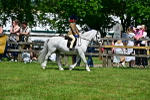 SBM_06421