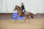 SBM_000919