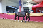 SBM_15987