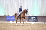 SBM_010081