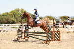 SBM_003842