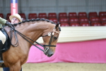 SBM_03545