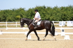 SBM_011653