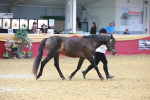 SBM_16670