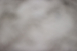 SBM_002540