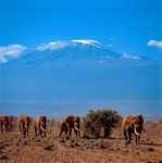 Kilimanjaro. EDC047.