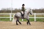 SBM_007511