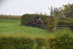 WJ5_7098