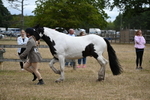 WJ6_8388