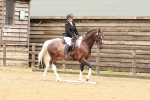SBM_001920