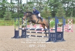 BPP_2585