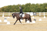 SBM_002648